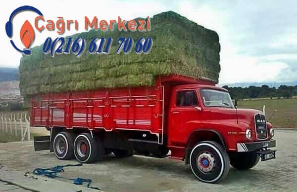 İstanbul Marmaris Evden Eve Nakliyat